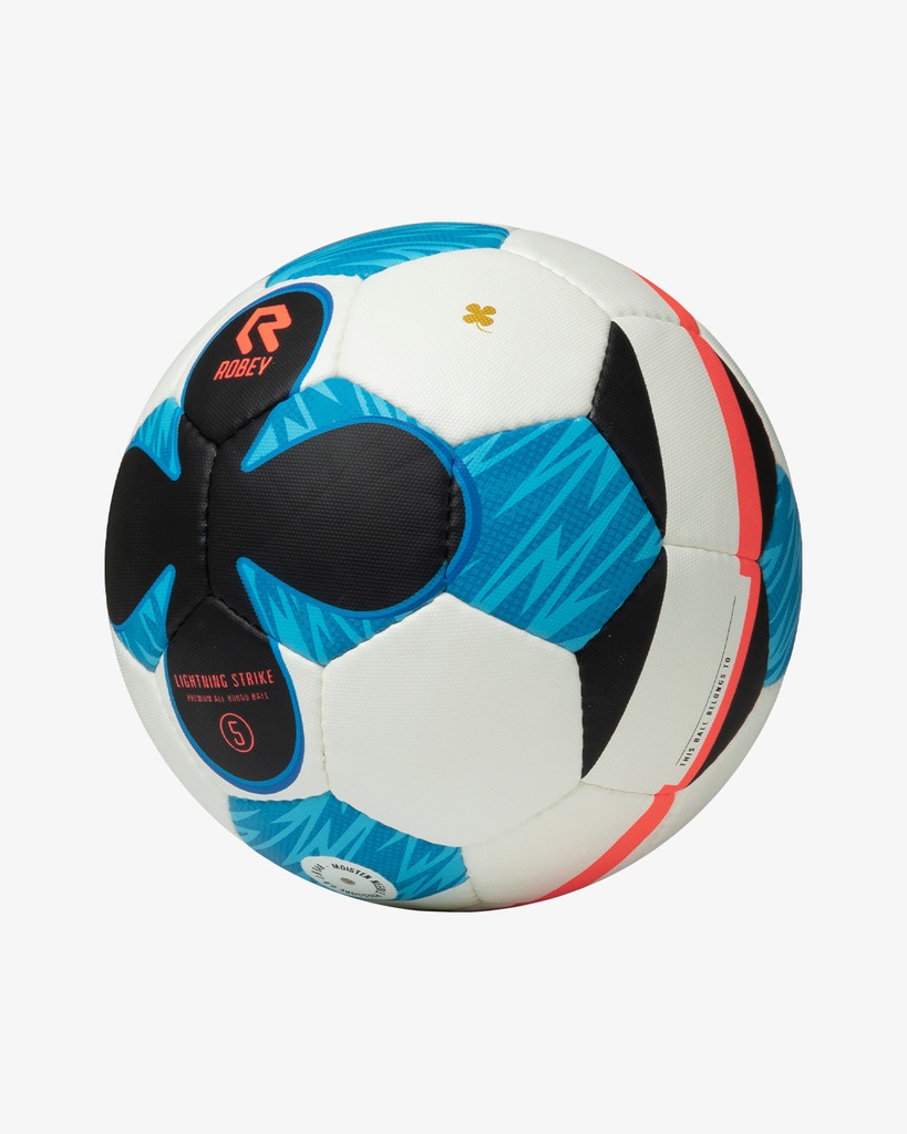 [RS8046-323-Ball 5] False