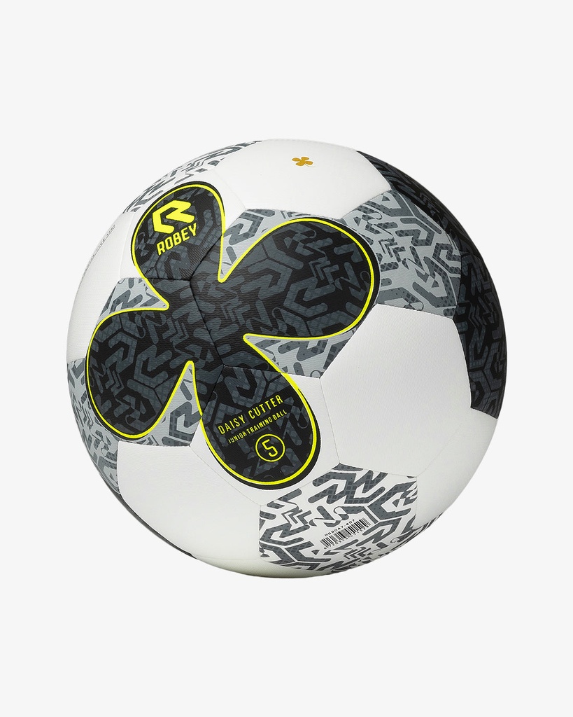[RS8047-407-Ball 5] False