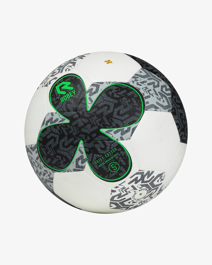 [RS8054-507-Ball 5] False